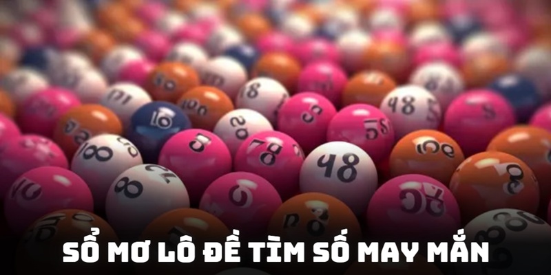 Tìm kiếm số may mắn để tham gia XSKT